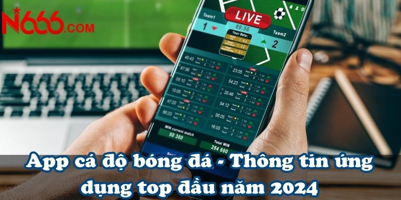 App cá độ bóng đá - Thông tin ứng dụng top đầu năm 2024