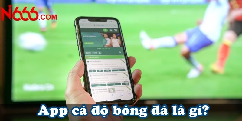 App cá độ bóng đá là gì?