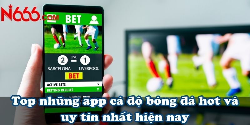 Top những app cá độ bóng đá hot và uy tín nhất hiện nay