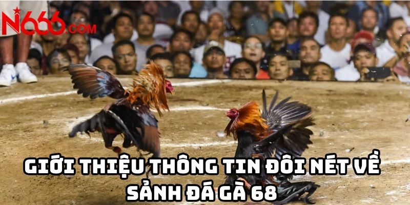 Giới thiệu thông tin đôi nét về sảnh đá gà 68