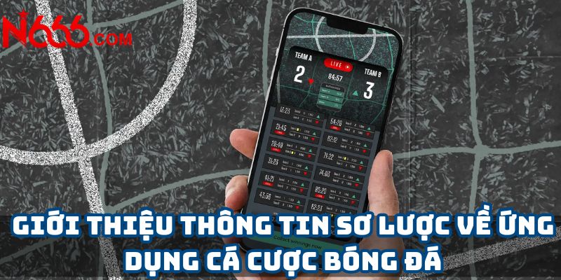 Giới thiệu thông tin sơ lược về ứng dụng cá cược bóng đá