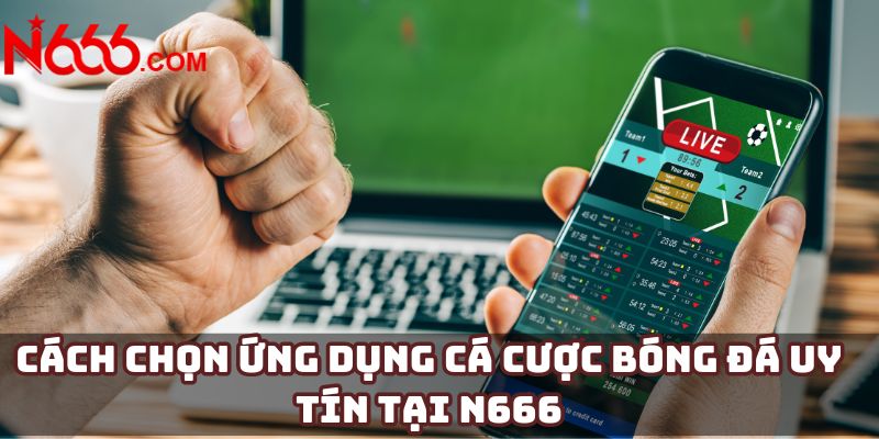 Cách chọn ứng dụng cá cược bóng đá uy tín tại N666